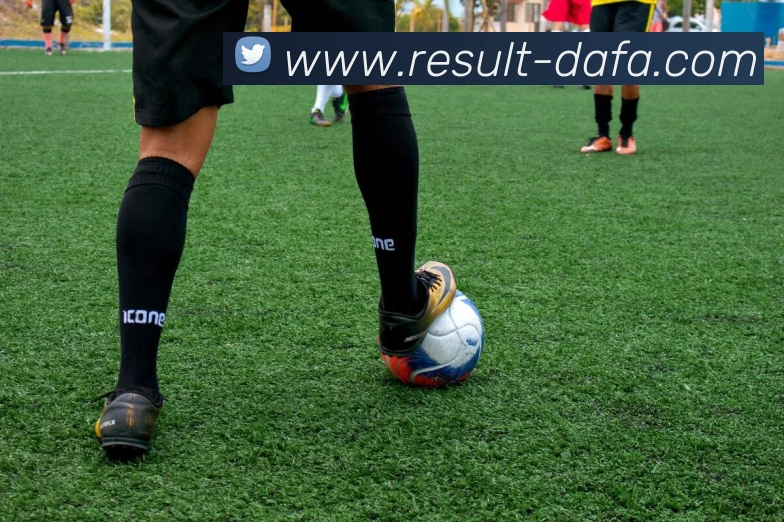 大发彩票平台生态图